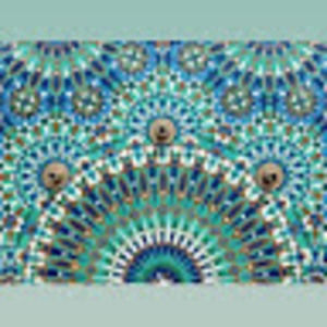 Meet your Posher, Elise